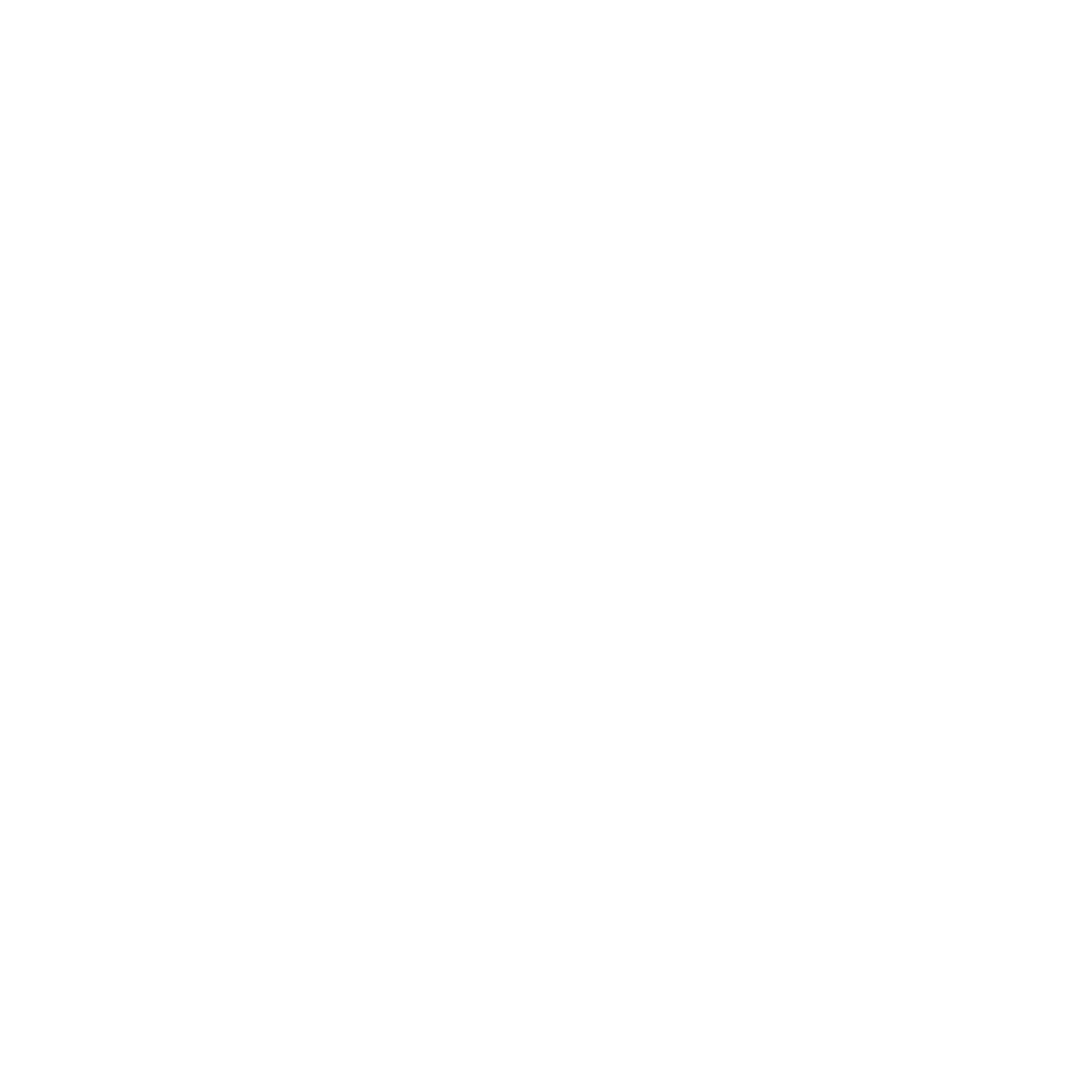Magnus First Logo