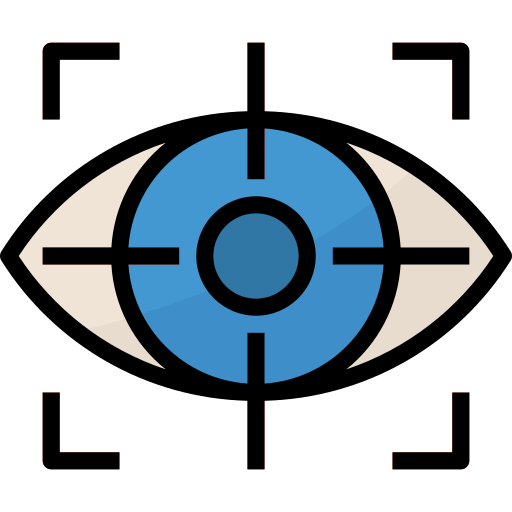 Vision